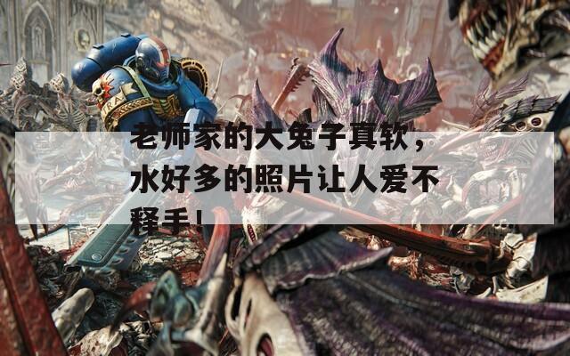 老师家的大兔子真软，水好多的照片让人爱不释手！