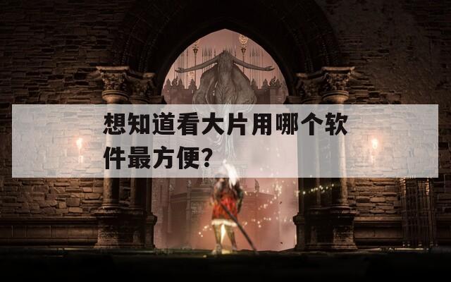 想知道看大片用哪个软件最方便？