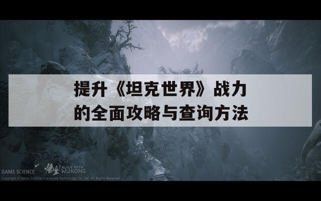 提升《坦克世界》战力的全面攻略与查询方法