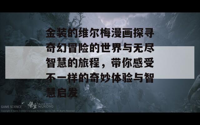 金装的维尔梅漫画探寻奇幻冒险的世界与无尽智慧的旅程，带你感受不一样的奇妙体验与智慧启发