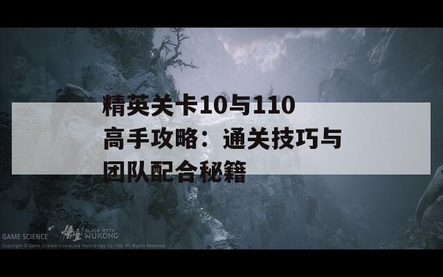 精英关卡10与110高手攻略：通关技巧与团队配合秘籍