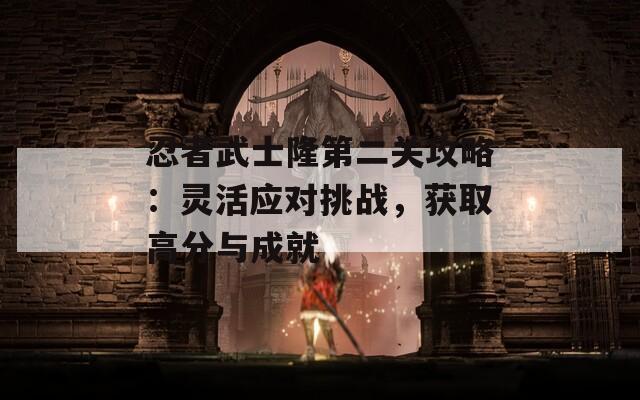 忍者武士隆第二关攻略：灵活应对挑战，获取高分与成就