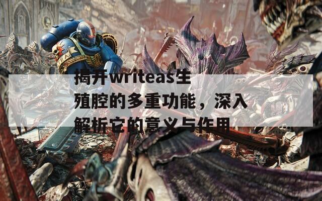 揭开writeas生殖腔的多重功能，深入解析它的意义与作用