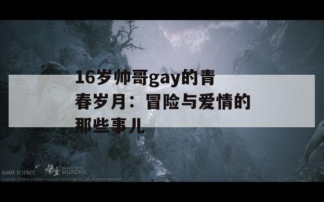 16岁帅哥gay的青春岁月：冒险与爱情的那些事儿