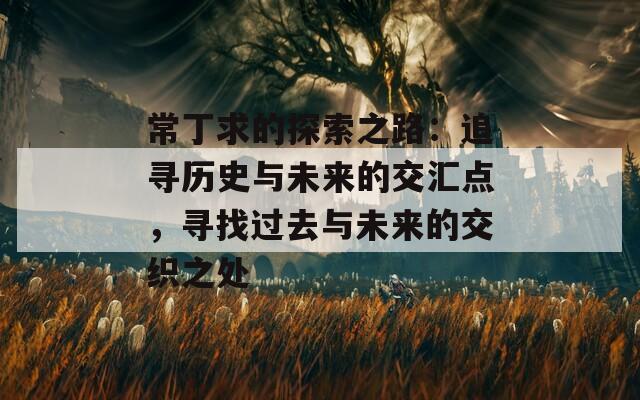 常丁求的探索之路：追寻历史与未来的交汇点，寻找过去与未来的交织之处