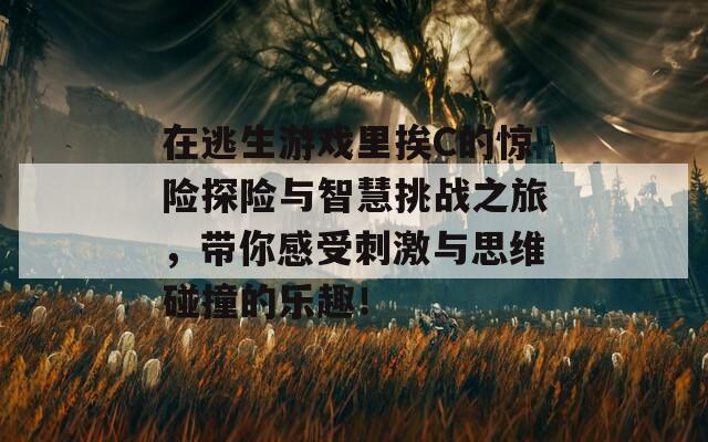 在逃生游戏里挨C的惊险探险与智慧挑战之旅，带你感受刺激与思维碰撞的乐趣！