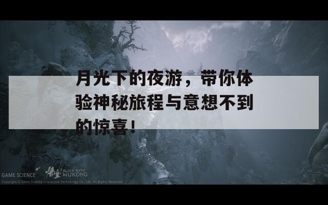 月光下的夜游，带你体验神秘旅程与意想不到的惊喜！