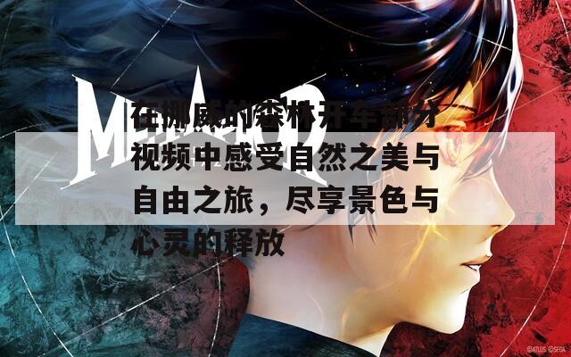 在挪威的森林开车部分视频中感受自然之美与自由之旅，尽享景色与心灵的释放