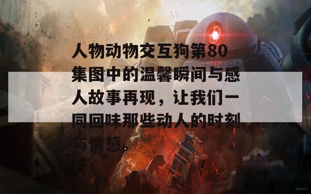 人物动物交互狗第80集图中的温馨瞬间与感人故事再现，让我们一同回味那些动人的时刻与情感。