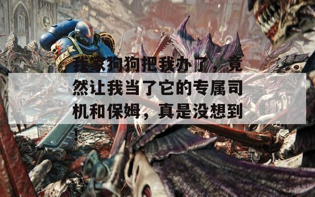 我家狗狗把我办了，竟然让我当了它的专属司机和保姆，真是没想到！