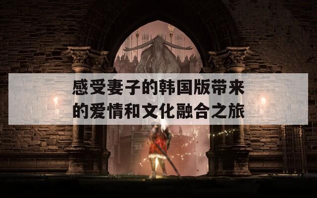 感受妻子的韩国版带来的爱情和文化融合之旅
