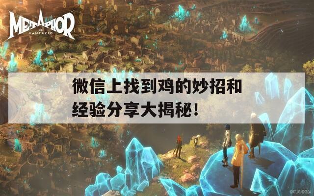 微信上找到鸡的妙招和经验分享大揭秘！