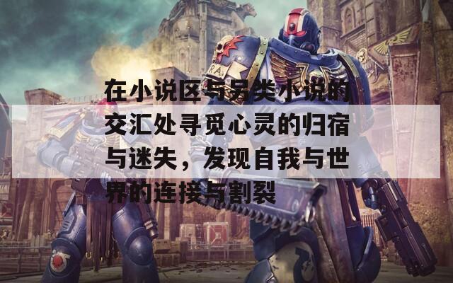在小说区与另类小说的交汇处寻觅心灵的归宿与迷失，发现自我与世界的连接与割裂