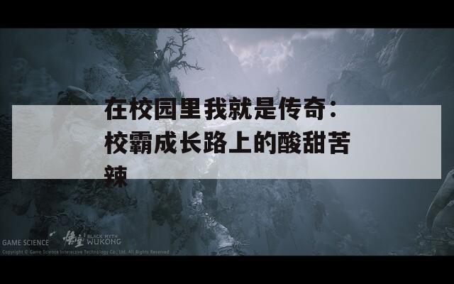 在校园里我就是传奇：校霸成长路上的酸甜苦辣