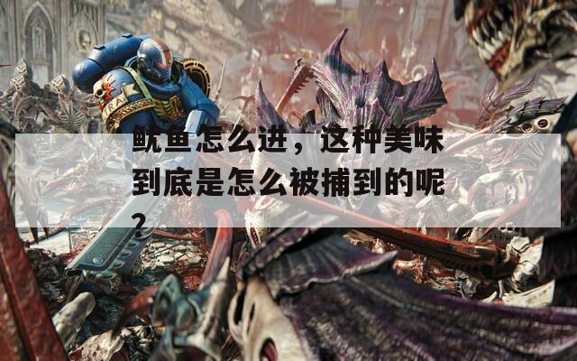 鱿鱼怎么进，这种美味到底是怎么被捕到的呢？