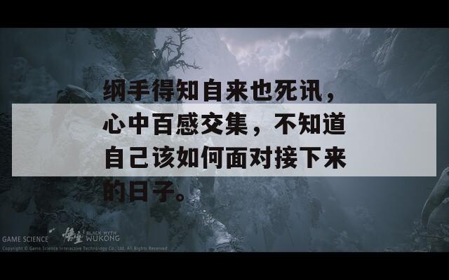 纲手得知自来也死讯，心中百感交集，不知道自己该如何面对接下来的日子。
