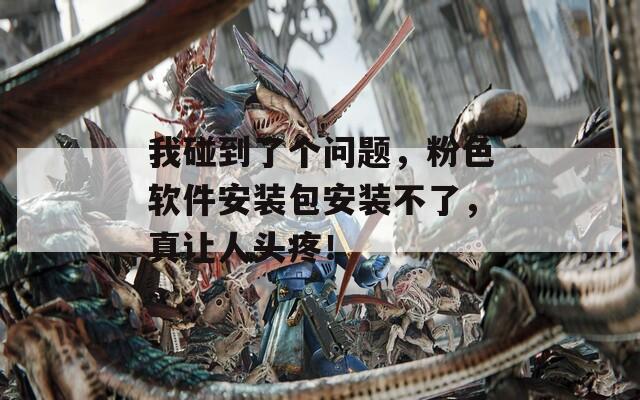 我碰到了个问题，粉色软件安装包安装不了，真让人头疼！