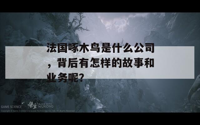法国啄木鸟是什么公司，背后有怎样的故事和业务呢？