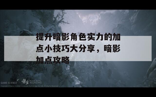 提升暗影角色实力的加点小技巧大分享，暗影加点攻略
