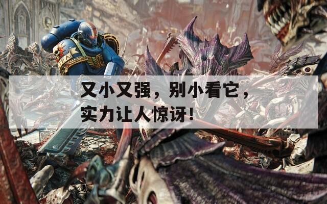 又小又强，别小看它，实力让人惊讶！