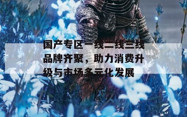 国产专区一线二线三线品牌齐聚，助力消费升级与市场多元化发展