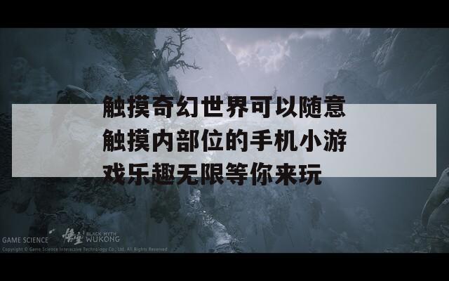 触摸奇幻世界可以随意触摸内部位的手机小游戏乐趣无限等你来玩