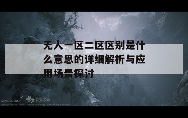 无人一区二区区别是什么意思的详细解析与应用场景探讨