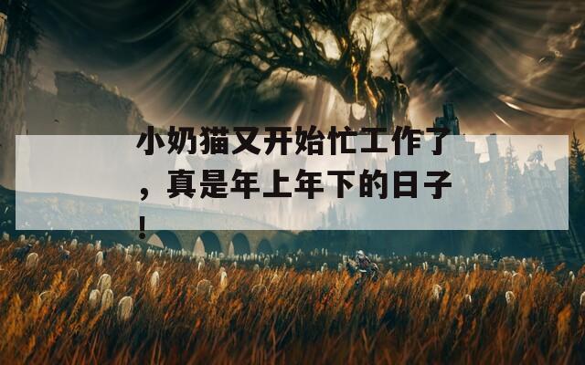 小奶猫又开始忙工作了，真是年上年下的日子！