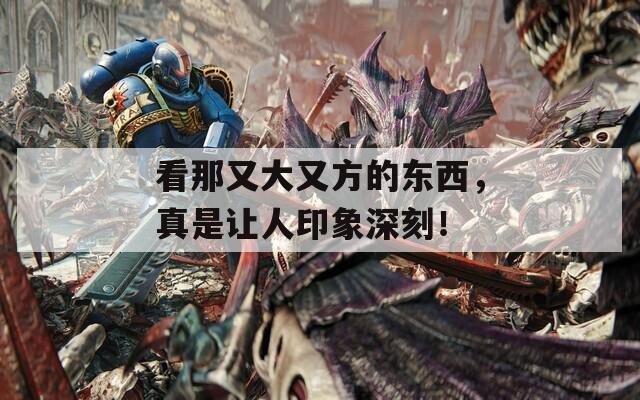 看那又大又方的东西，真是让人印象深刻！