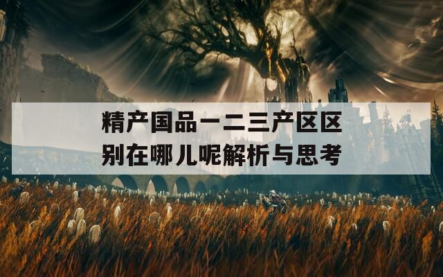 精产国品一二三产区区别在哪儿呢解析与思考