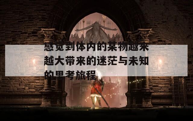 感觉到体内的某物越来越大带来的迷茫与未知的思考旅程
