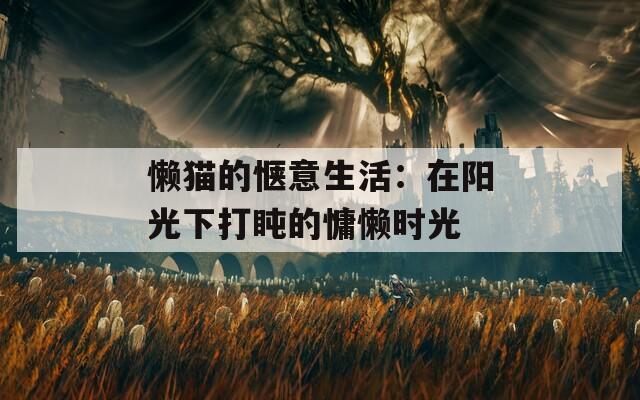 懒猫的惬意生活：在阳光下打盹的慵懒时光