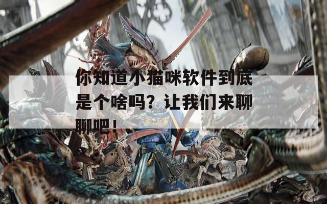 你知道小猫咪软件到底是个啥吗？让我们来聊聊吧！
