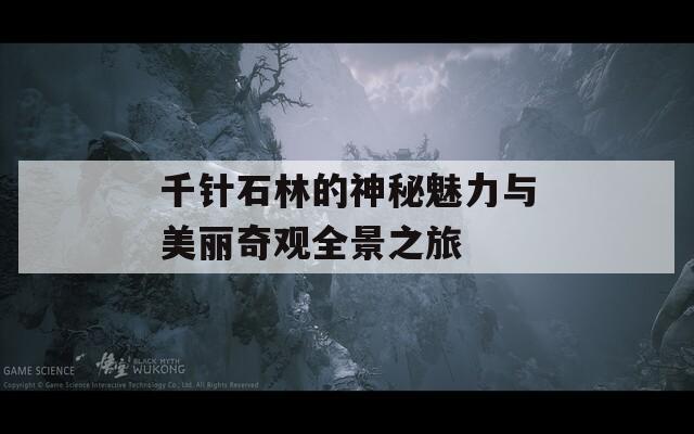 千针石林的神秘魅力与美丽奇观全景之旅
