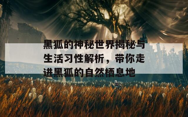 黑狐的神秘世界揭秘与生活习性解析，带你走进黑狐的自然栖息地