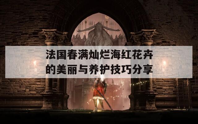 法国春满灿烂海红花卉的美丽与养护技巧分享