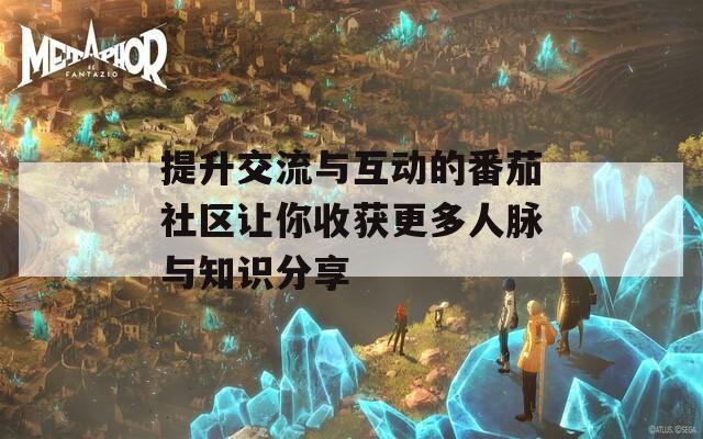 提升交流与互动的番茄社区让你收获更多人脉与知识分享