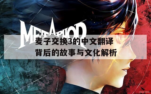 麦子交换3的中文翻译背后的故事与文化解析