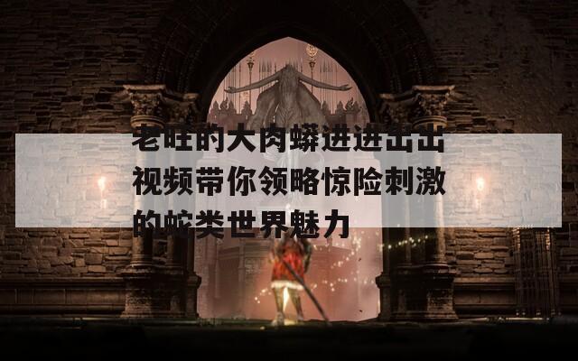 老旺的大肉蟒进进出出视频带你领略惊险刺激的蛇类世界魅力