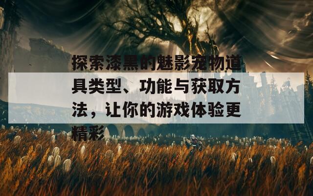 探索漆黑的魅影宠物道具类型、功能与获取方法，让你的游戏体验更精彩
