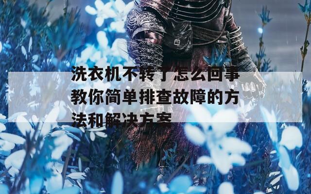 洗衣机不转了怎么回事教你简单排查故障的方法和解决方案