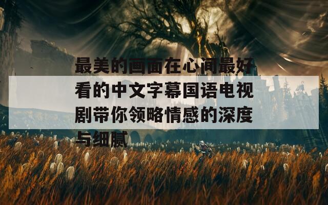最美的画面在心间最好看的中文字幕国语电视剧带你领略情感的深度与细腻