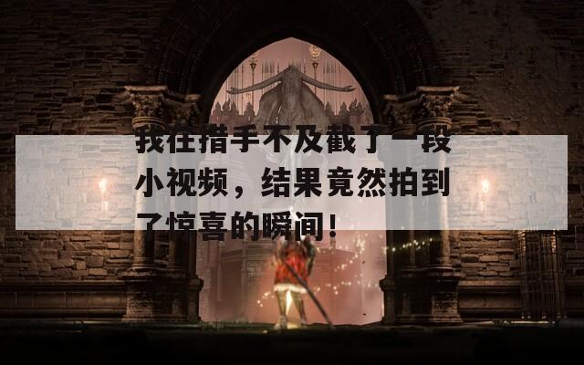 我在措手不及截了一段小视频，结果竟然拍到了惊喜的瞬间！