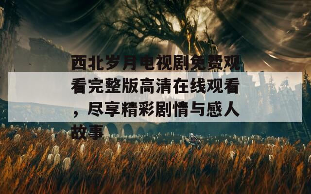 西北岁月电视剧免费观看完整版高清在线观看，尽享精彩剧情与感人故事