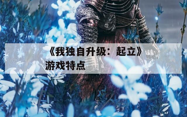 《我独自升级：起立》游戏特点