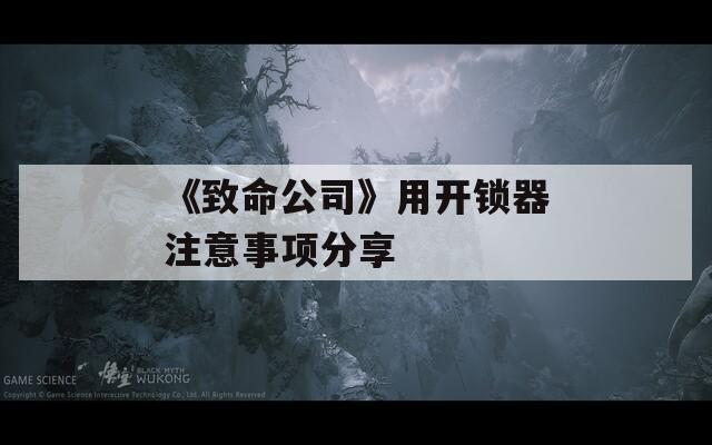 《致命公司》用开锁器注意事项分享
