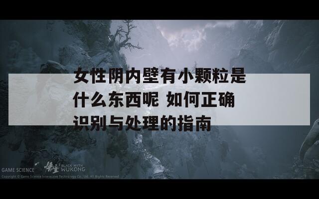 女性阴内壁有小颗粒是什么东西呢 如何正确识别与处理的指南