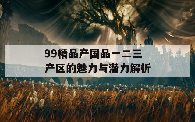 99精品产国品一二三产区的魅力与潜力解析