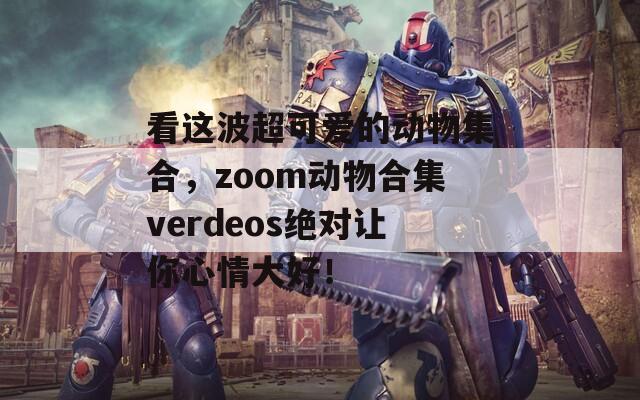 看这波超可爱的动物集合，zoom动物合集verdeos绝对让你心情大好！