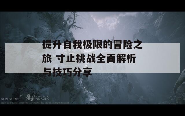 提升自我极限的冒险之旅 寸止挑战全面解析与技巧分享